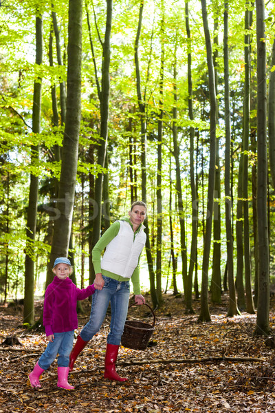 mother with her daughter doing mushroom picking Stock photo © phbcz