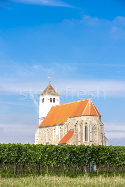 church with vineyard, Kirchenberg, Lower Austria, Austria Stock photo © phbcz