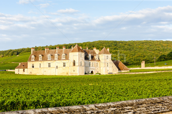 Clos Blanc De Vougeot Castle, Burgundy, France Stock photo © phbcz