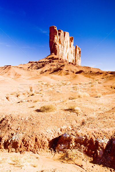 Camel Butte, Monument Valley National Park, Utah-Arizona, USA Stock photo © phbcz