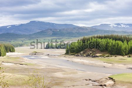 landscape near Loch Laggan, Highlands, Scotland Stock photo © phbcz