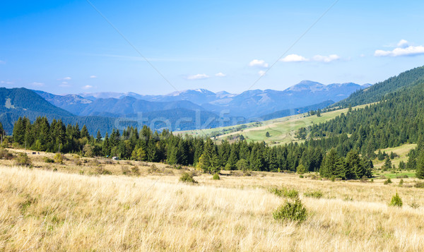 Stock photo: Nizke Tatry (Low Tatras), Slovakia