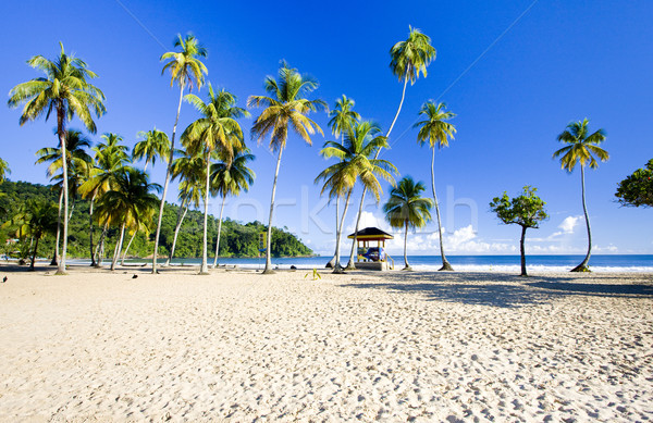 cabin on the beach, Maracas Bay, Trinidad Stock photo © phbcz