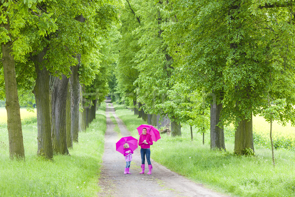 Stockfoto: Moeder · dochter · parasols · voorjaar · steegje · vrouw