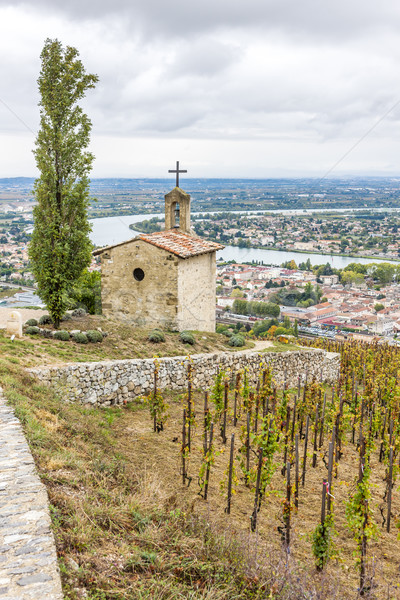 grand cru vineyard and Chapel of St. Christopher, Hermitage, France Stock photo © phbcz