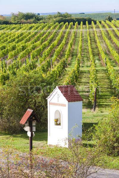 God's torture near Hnanice with autumnal vineyard, Southern Mor Stock photo © phbcz