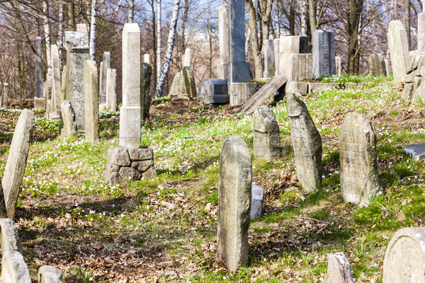 кладбище Чешская республика Европа серьезную кладбища улице Сток-фото © phbcz