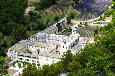 Abbazia Francia campo chiesa viaggio architettura Foto d'archivio © phbcz