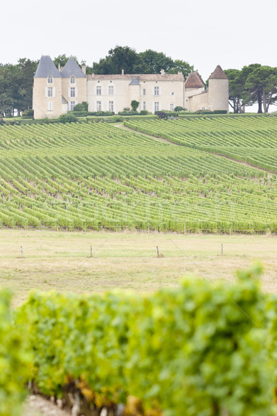 Stock photo: vineyard and Chateau d'Yquem, Sauternes Region, France