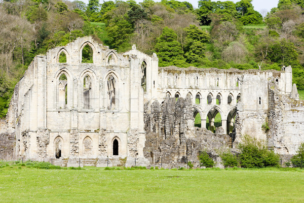 ruins of Rievaulx Abbey, North Yorkshire, England Stock photo © phbcz