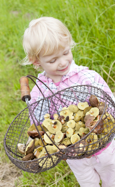 little girl with basket of mushrooms Stock photo © phbcz