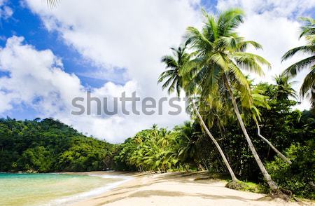 Englishman's Bay, Tobago Stock photo © phbcz
