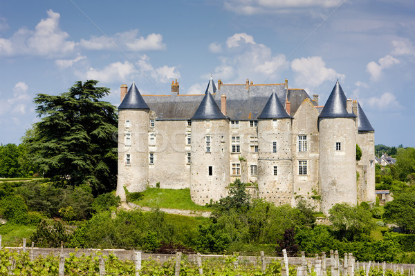 Luynes Castle with vineyard, Indre-et-Loire, Centre, France Stock photo © phbcz