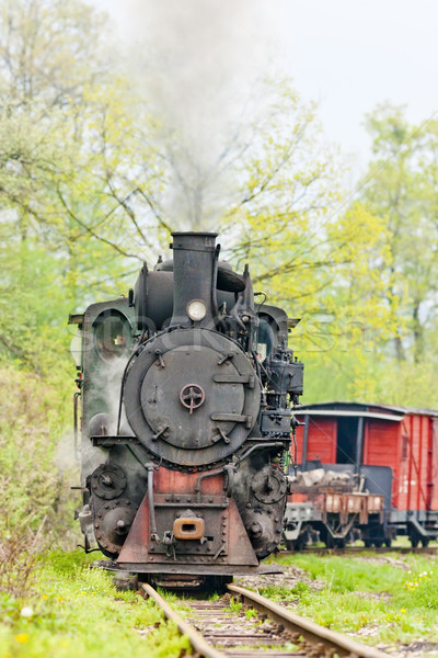 Keskeny kaliber vasút vonat Európa gőz Stock fotó © phbcz