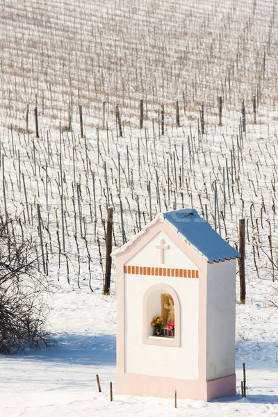 God's torture near Hnanice with winter vineyard, Southern Morav Stock photo © phbcz
