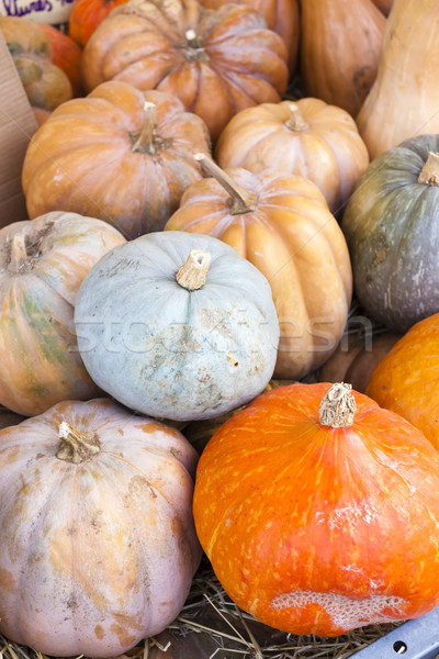 pumpkins, market in Forcalquier, Provence, France Stock photo © phbcz