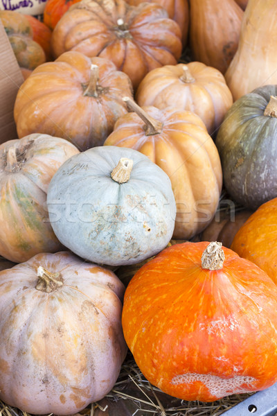 Stock photo: pumpkins, market in Forcalquier, Provence, France