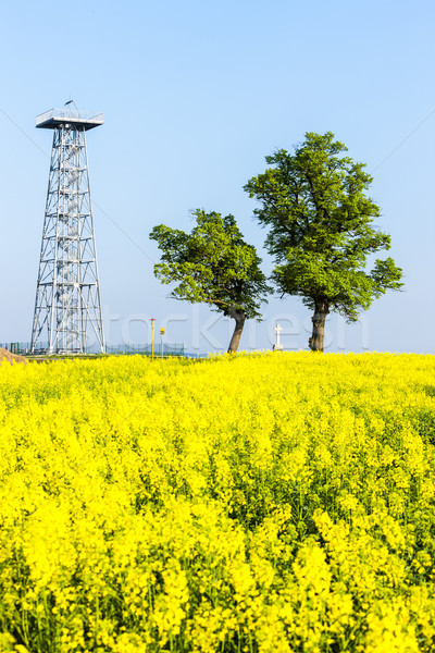Сток-фото: башни · Чешская · республика · дерево · строительство · природы · крест