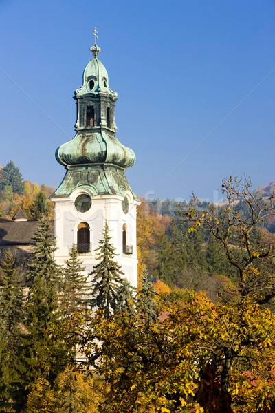 Edad castillo Eslovaquia edificio arquitectura ciudad Foto stock © phbcz