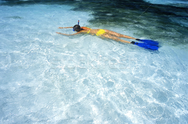 Snorkeling wody kobiet morza sportowe bikini Zdjęcia stock © phbcz