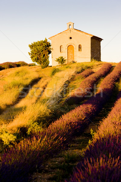 chapel with lavender field, Plateau de Valensole, Provence, France Stock photo © phbcz