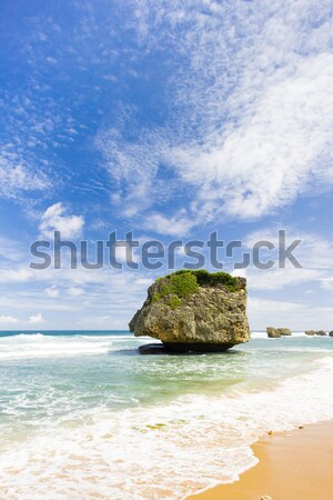 Keleti part Barbados Karib tájkép tenger Stock fotó © phbcz