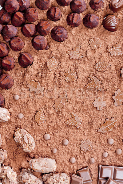 Stock photo: still life of chocolate in cocoa