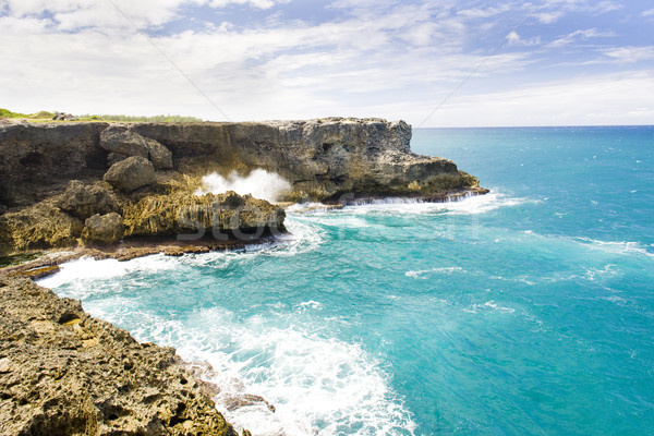 Zdjęcia stock: Na · północ · punkt · Barbados · Karaibów · krajobraz · morza
