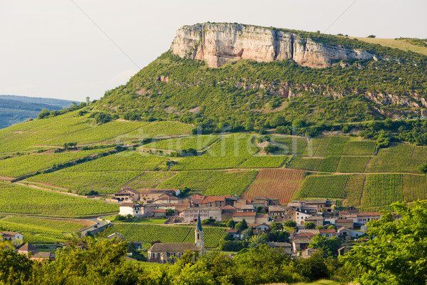 environment of La Roche de Solutr Stock photo © phbcz