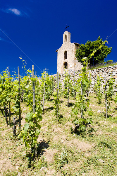 grand cru vineyard and Chapel of St. Christopher, L Stock photo © phbcz