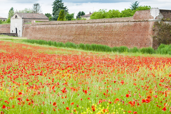 Befestigung Stadt Italien Blume Gebäude Wand Stock foto © phbcz