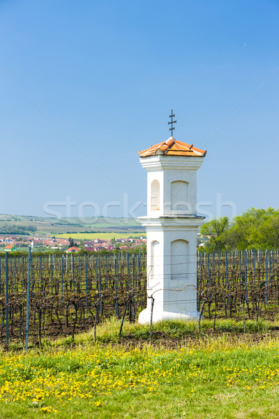 God's torture with vineyard near Palava, Czech Republic Stock photo © phbcz