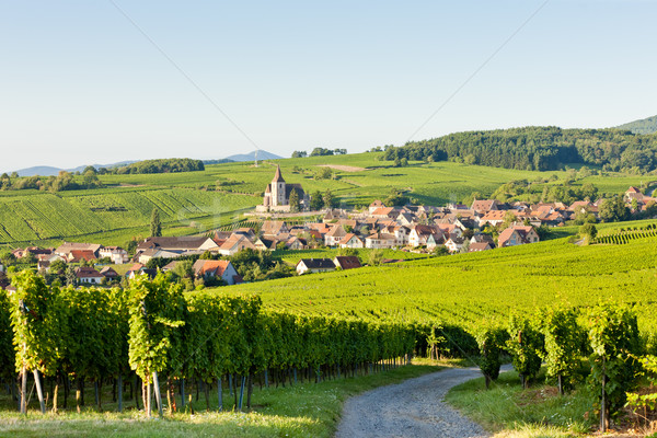 Hunawihr, Alsace, France Stock photo © phbcz