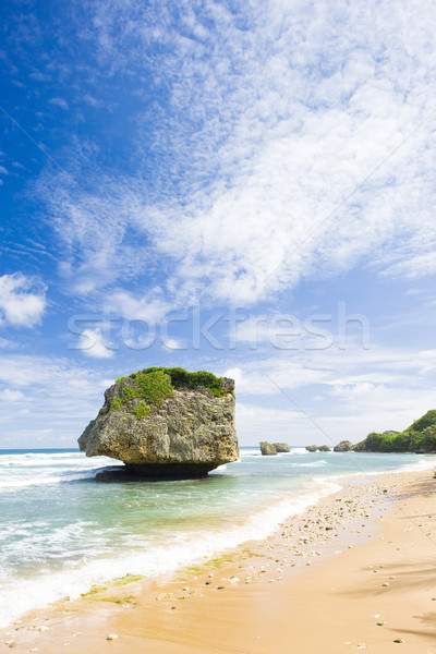 Keleti part Barbados Karib tájkép tenger Stock fotó © phbcz
