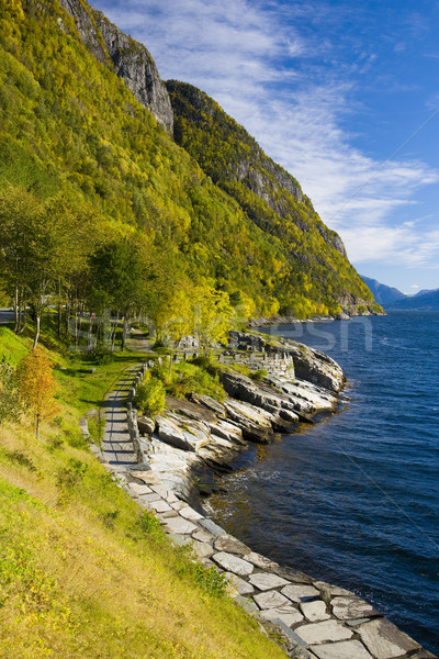 пейзаж Норвегия морем зеленый синий ландшафты Сток-фото © phbcz