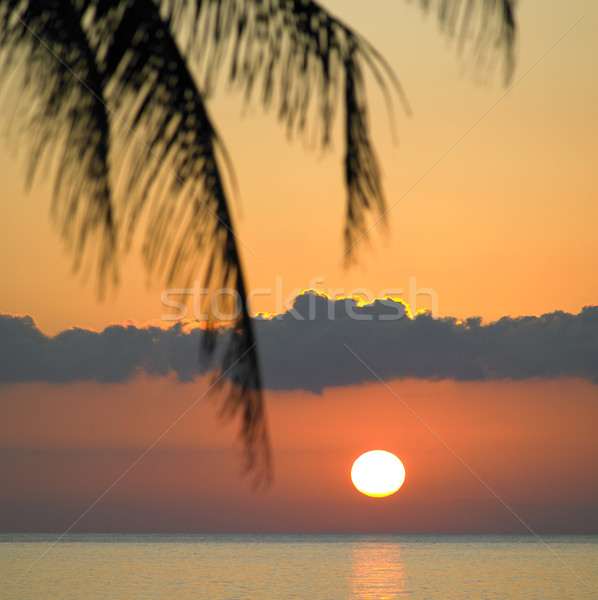 sunset over Caribbean Sea, Mar Stock photo © phbcz