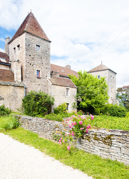 Gevrey-Chambertin Castle, Cote de Nuits, Burgundy, France Stock photo © phbcz