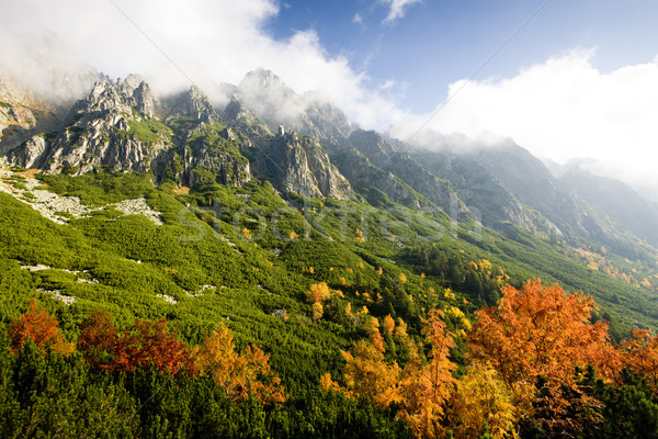 Stock photo: Great Cold Valley, Vysoke Tatry (High Tatras), Slovakia