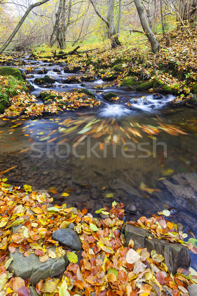 Stock photo: brook in autumn, Slovakia