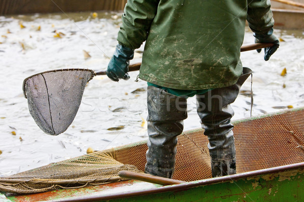 harvesting pond Stock photo © phbcz