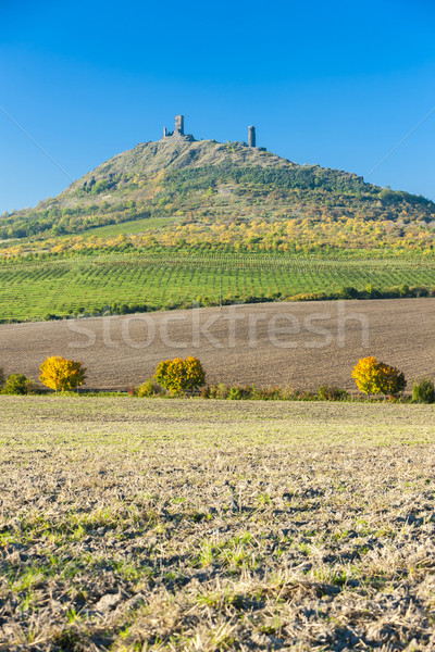 Ruinen Burg Tschechische Republik Gebäude Landschaft Reise Stock foto © phbcz