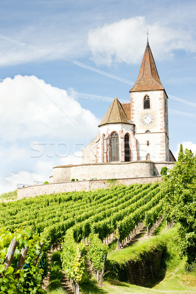 Hunawihr, Alsace, France Stock photo © phbcz