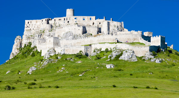 Spissky Castle, Slovakia Stock photo © phbcz