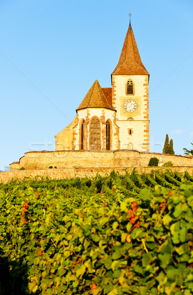 church with vineyard, Hunawihr, Alsace, France Stock photo © phbcz