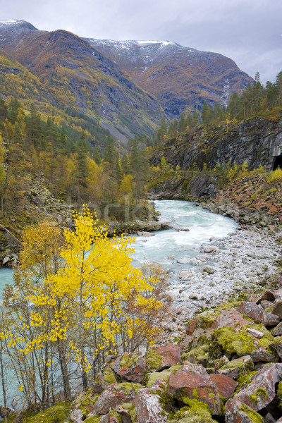 Jostendalen valley, Norway Stock photo © phbcz