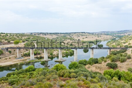 railway viaduct Guadiana River near Serpa, Alentejo, Portugal Stock photo © phbcz