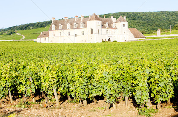 Clos Blanc De Vougeot Castle, Burgundy, France Stock photo © phbcz