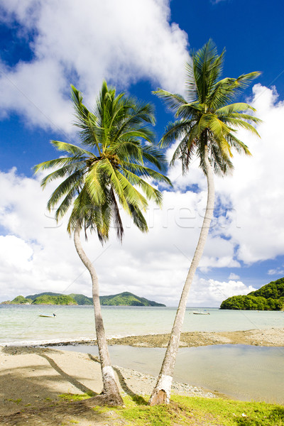 Batteaux Bay, Tobago Stock photo © phbcz