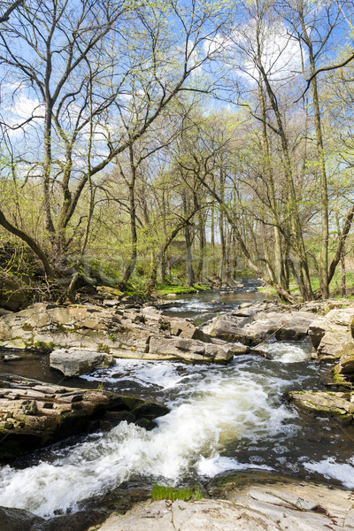 spring landscape with Vyrovka brook, Czech Republic Stock photo © phbcz