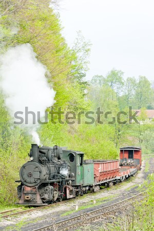 narrow gauge railway, Banovici, Bosnia and Hercegovina Stock photo © phbcz